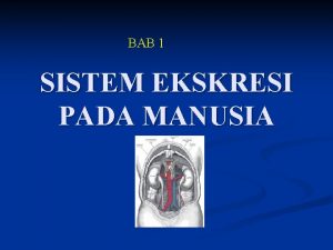 BAB 1 SISTEM EKSKRESI PADA MANUSIA Proses Pengeluaran