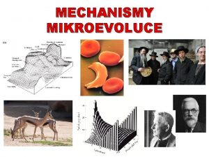 MECHANISMY MIKROEVOLUCE Mikroevoluce vznik a osud genetick variability