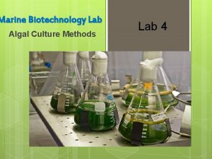 Marine Biotechnology Lab Algal Culture Methods Lab 4