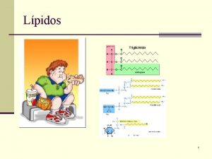 Lpidos 1 Clasificacin de los lpidos 1 Comportamiento