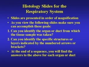 Histology Slides for the Respiratory System Slides are