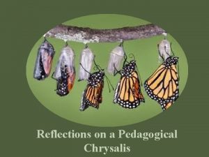 Reflections on a Pedagogical Chrysalis Factors that Framed