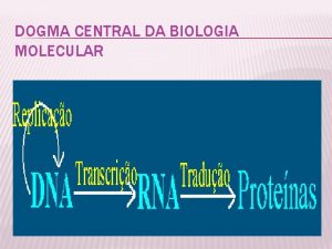 DOGMA CENTRAL DA BIOLOGIA MOLECULAR CDIGO GENTICO PROCESSO