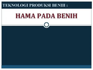 TEKNOLOGI PRODUKSI BENIH HAMA PADA BENIH KLASIFIKASI KLAS