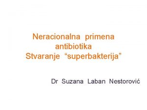 Suzana laban nestorovic