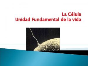 La Clula Unidad Fundamental de la vida CLULAS