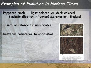 Examples of Evolution in Modern Times Peppered moth