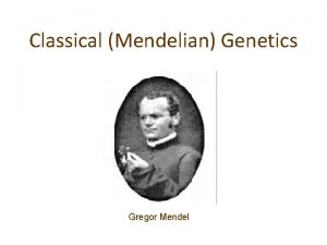 Classical Mendelian Genetics Gregor Mendel GENETICS The scientific