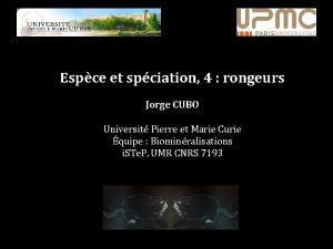 Espce et spciation 4 rongeurs Jorge CUBO Universit