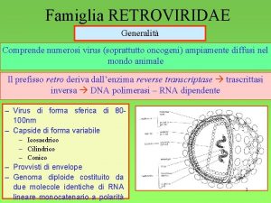 Famiglia RETROVIRIDAE Generalit Comprende numerosi virus soprattutto oncogeni