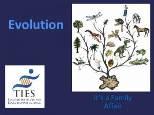 Evolution Its a Family Affair Todays Lesson Diversity