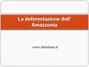 La deforestazione dell Amazzonia www didadada it Dentro