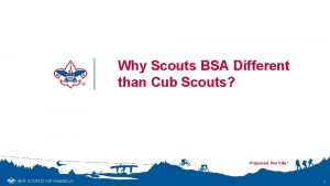 Why Scouts BSA Different than Cub Scouts 1