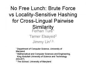 No Free Lunch Brute Force vs LocalitySensitive Hashing