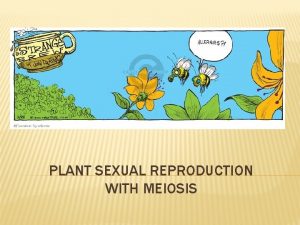 PLANT SEXUAL REPRODUCTION WITH MEIOSIS SEXUAL REPRODUCTION IN