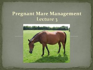 Pregnant Mare Management Lecture 3 Management Proper mare