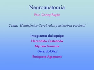 Neuroanatoma Psic Conny Payn Tema Hemisferios Cerebrales y