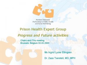 Prison Health Expert Group Progress and Future activities