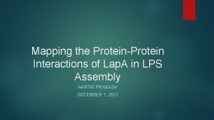 Mapping the ProteinProtein Interactions of Lap A in