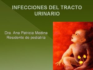 INFECCIONES DEL TRACTO URINARIO Dra Ana Patricia Medina