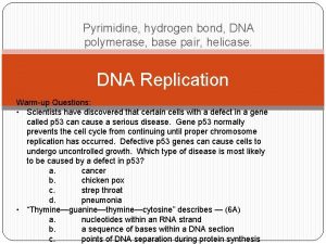 Pyrimidine hydrogen bond DNA polymerase base pair helicase