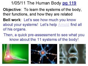 10511 The Human Body pg 119 Objective To