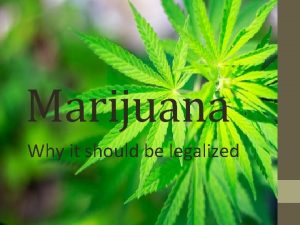Marijuana Why it should be legalized Marijuana Legalization