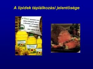 A lipidek tpllkozsi jelentsge A lipidekhez kapcsold fogalmak