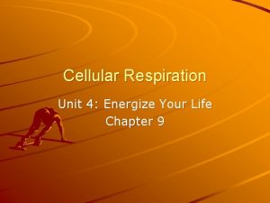 Cellular Respiration Unit 4 Energize Your Life Chapter