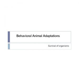 Behavioral Animal Adaptations Survival of organisms ANIMAL BEHAVIOR