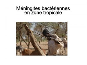 Mningites bactriennes en zone tropicale Docteur SAVINIMUREAU Hlne