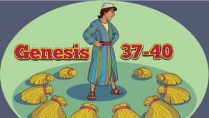 Genesis 37 11 11 And his brothers were