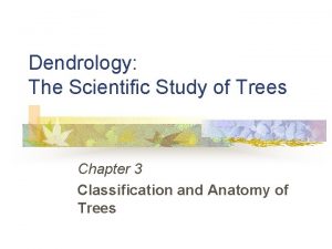 Dendrology The Scientific Study of Trees Chapter 3