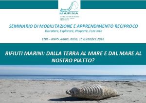 SEMINARIO DI MOBILITAZIONE E APPRENDIMENTO RECIPROCO Discutere Esplorare