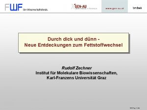 Durch dick und dnn Neue Entdeckungen zum Fettstoffwechsel