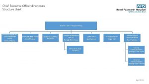 Chief Executive Officer directorate Structure chart Chief Executive