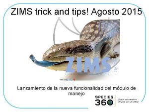 ZIMS trick and tips Agosto 2015 Lanzamiento de