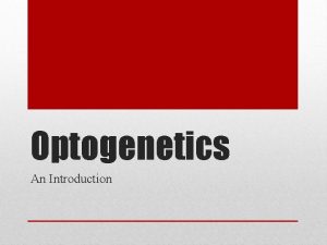 Optogenetics An Introduction Controlling Neurons with Light Using