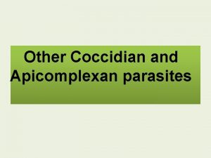 Other Coccidian and Apicomplexan parasites Cyclospora Cyclosporosis v