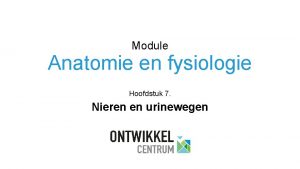 Module Anatomie en fysiologie Hoofdstuk 7 Nieren en