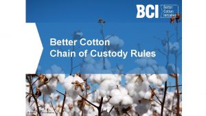 Better Cotton Chain of Custody Rules Better Cotton