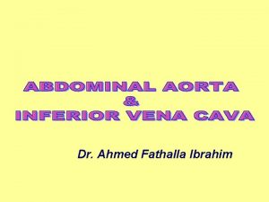 Dr Ahmed Fathalla Ibrahim ABDOMINAL AORTA BEGINNING q