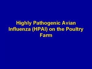 Highly Pathogenic Avian Influenza HPAI on the Poultry