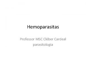 Hemoparasitas Professor MSC Clber Cardeal parasitologia HEMOPARASITOS EHRLICHIOSE