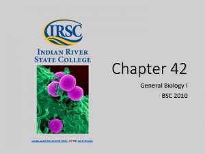 Chapter 42 General Biology I BSC 2010 Human