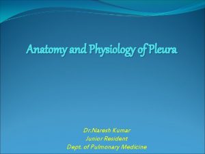 Anatomy and Physiology of Pleura Dr Naresh Kumar