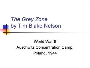 The Grey Zone by Tim Blake Nelson World
