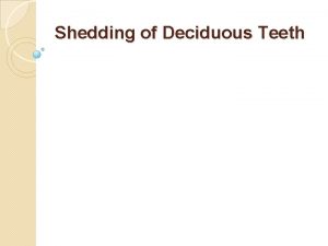 Shedding of Deciduous Teeth DEFINITION The human dentition