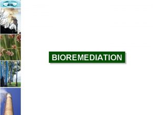 BIOREMEDIATION The need for Bioremediation The quality of