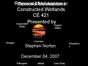 Removal Mechanismsin Constructed Wetlands CE 421 Presented by